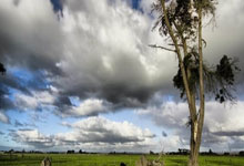 商标注册证号是哪一个,商标注册号在哪个位置图片