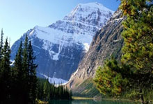 商标注册证号是哪一个,商标注册号在哪个位置图片