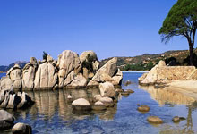 商标注册证号是哪一个,商标注册号在哪个位置图片